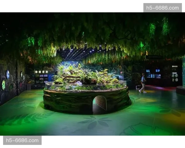 虚实结合导播模式渗透现场 沉浸式交互场景批量涌现