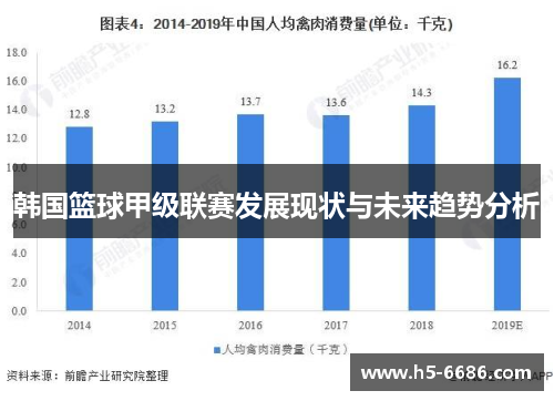 韩国篮球甲级联赛发展现状与未来趋势分析
